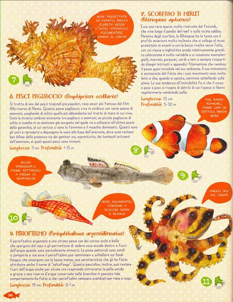 Pesci del mondo e altri animali marini. Ediz. a colori - Angelo Mojetta - 3