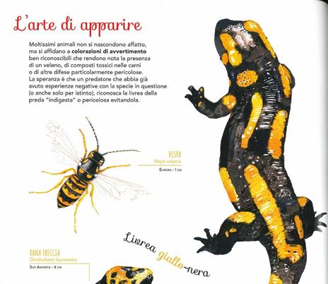 Evoluzione. La lotta per la sopravvivenza sulle tracce di Darwin e dei grandi scienziati. Ediz. a colori - Francesco Tomasinelli - 2