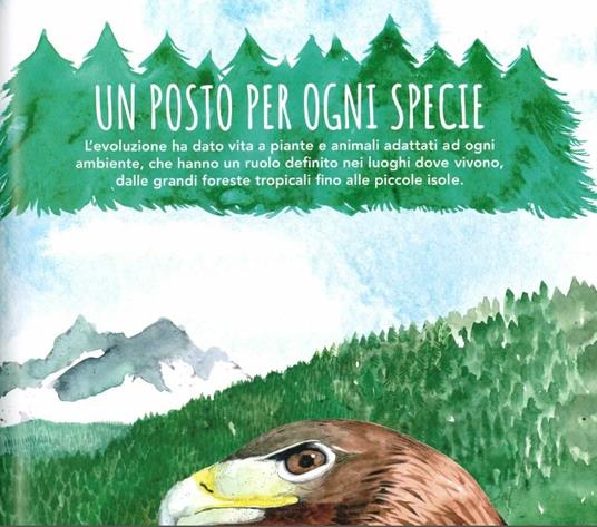 Evoluzione. La lotta per la sopravvivenza sulle tracce di Darwin e dei grandi scienziati. Ediz. a colori - Francesco Tomasinelli - 5