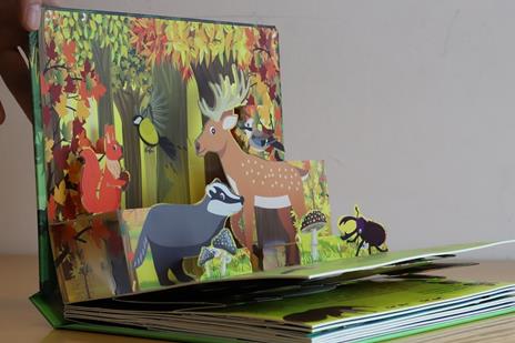 Foreste. Natura pop up! Ediz. a colori - David Hawcock - 2