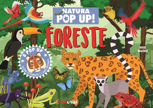 Foreste. Natura pop up! Ediz. a colori - David Hawcock - copertina