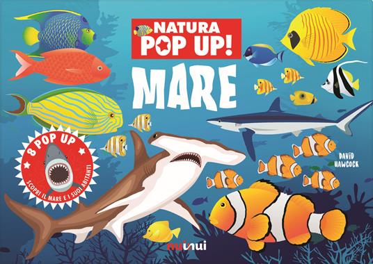 Mare. Natura pop up! Ediz. a colori - David Hawcock - copertina