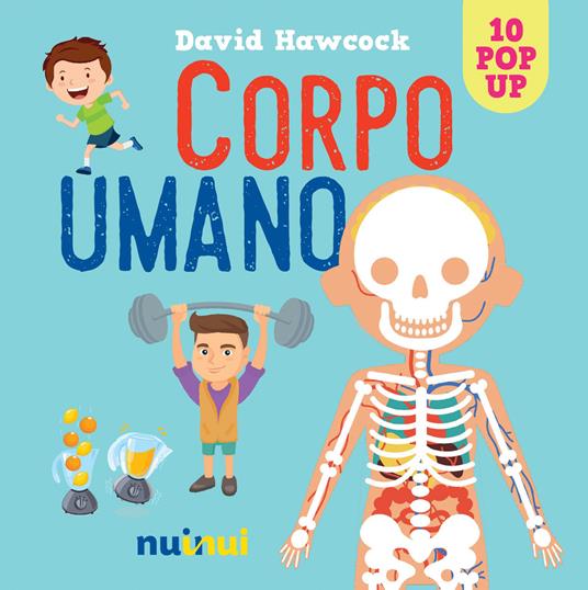 Corpo umano. Libro pop-up. Ediz. a colori - David Hawcock - copertina