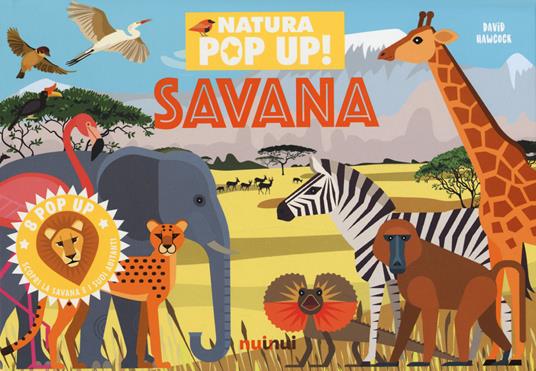 Savana. Natura pop-up! Ediz. a colori - David Hawcock - copertina