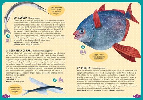 Pesci del Mediterraneo. Una guida illustrata per bambini. Ediz. a colori. Con QR code - Angelo Mojetta - 4
