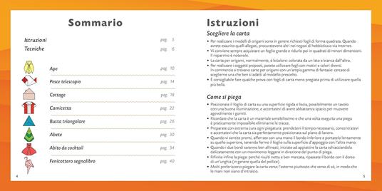 Origami magici per principianti. Strappa e piega - 2
