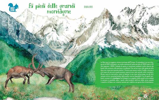 Mammiferi del mondo. Una guida illustrata per bambini da 0 a 109 anni. Ediz. illustrata. Con QR Code - Cesare Della Pietà - 3