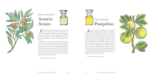 Il museo delle essenze. Viaggio nel mondo del profumo - Mandy Aftel - 7