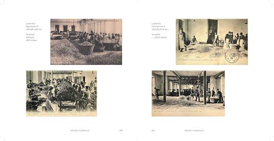 Il museo delle essenze. Viaggio nel mondo del profumo - Mandy Aftel - 8