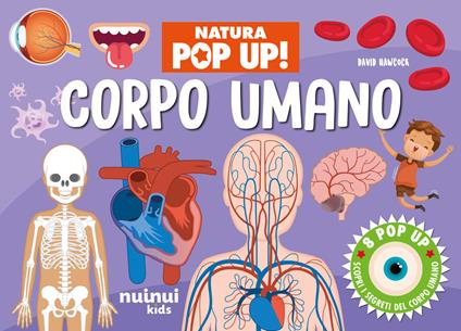 Corpo umano. Natura pop-up! Ediz. a colori - David Hawcock - copertina