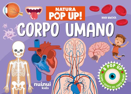 Corpo umano. Natura pop-up! Ediz. a colori - David Hawcock - copertina