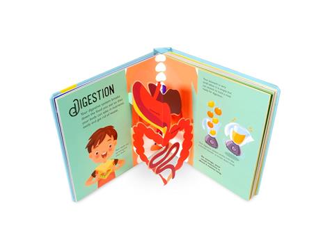 Human body. Amazing pop-ups. Ediz. a colori - David Hawcock - 2