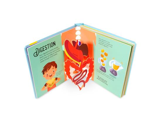 Human body. Amazing pop-ups. Ediz. a colori - David Hawcock - 2