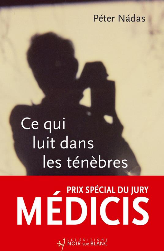 Ce qui luit dans les ténèbres - Prix spécial du jury Médicis 2025