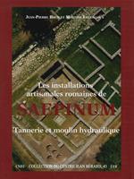 Les installations artisanales romaines de Saepinum. Tannerie et moulin hydraulique