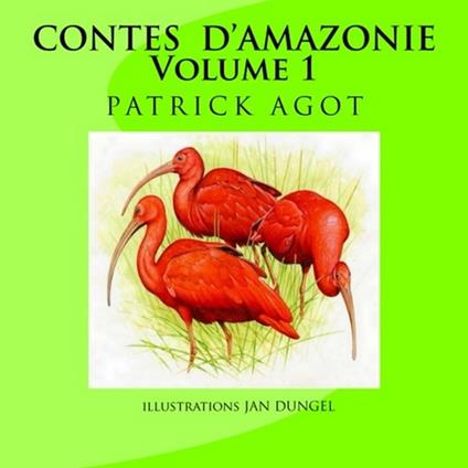 Contes d'Amazonie - Patrick Agot,Jan - ebook