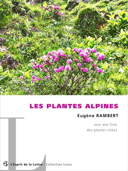 Les plantes alpines