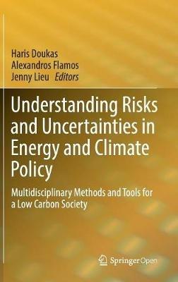 Understanding Risks and Uncertainties in Energy and Climate Policy: Multidisciplinary Methods and Tools for a Low Carbon Society - cover