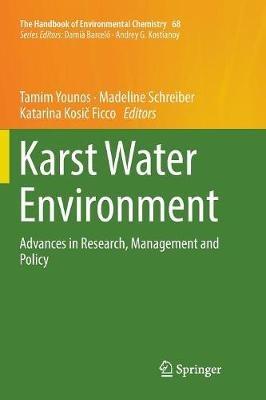 Karst Water Environment: Advances in Research, Management and Policy - cover