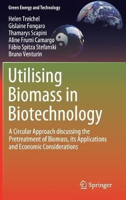 Utilising Biomass in Biotechnology: A Circular Approach discussing the Pretreatment of Biomass, its Applications and Economic Considerations - Helen Treichel,Gislaine Fongaro,Thamarys Scapini - cover