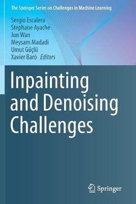 Inpainting and Denoising Challenges - cover