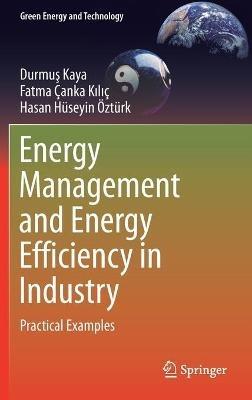 Energy Management and Energy Efficiency in Industry: Practical Examples - Durmus Kaya,Fatma Çanka Kiliç,Hasan Hüseyin Öztürk - cover
