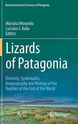 Lizards of Patagonia: Diversity, Systematics, Biogeography and Biology of the Reptiles at the End of the World - cover