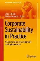 Corporate Sustainability in Practice: A Guide for Strategy Development and Implementation - cover