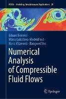 Numerical Analysis of Compressible Fluid Flows