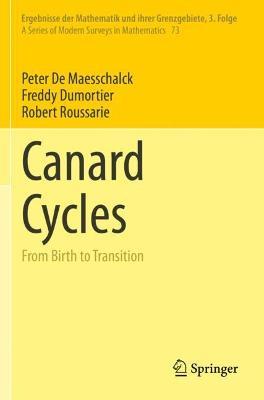Canard Cycles: From Birth to Transition - Peter De Maesschalck,Freddy Dumortier,Robert Roussarie - cover