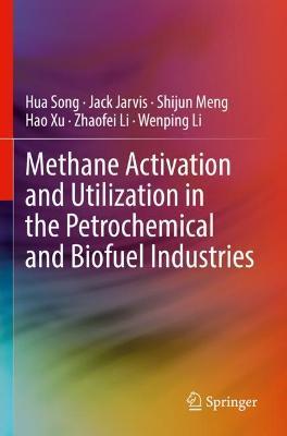 Methane Activation and Utilization in the Petrochemical and Biofuel Industries - Hua Song,Jack Jarvis,Shijun Meng - cover