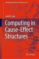 Computing in Cause-Effect Structures
