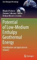 Potential of Low-Medium Enthalpy Geothermal Energy: Hybridization and Application in Industry - Elisabet Palomo,Antonio Colmenar-Santos,Enrique Rosales-Asensio - cover