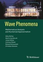 Wave Phenomena: Mathematical Analysis and Numerical Approximation