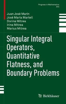Singular Integral Operators, Quantitative Flatness, and Boundary Problems - Juan José Marín,José María Martell,Dorina Mitrea - cover