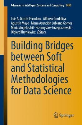 Building Bridges between Soft and Statistical Methodologies for Data Science - cover
