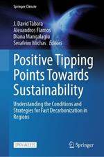 Positive Tipping Points Towards Sustainability: Understanding the Conditions and Strategies for Fast Decarbonization in Regions