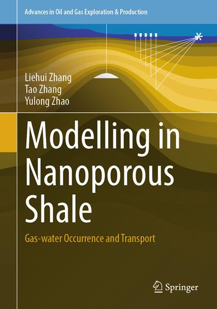 Modelling in Nanoporous Shale