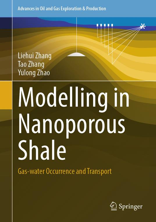 Modelling in Nanoporous Shale