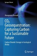 CO2 Geosequestration: Capturing Carbon for a Sustainable Future: Carbon Dioxide Storage in Geological Media