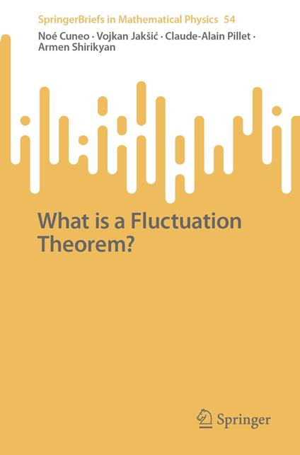 What is a Fluctuation Theorem?