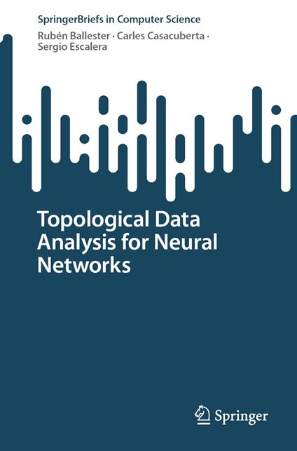 Topological Data Analysis for Neural Networks