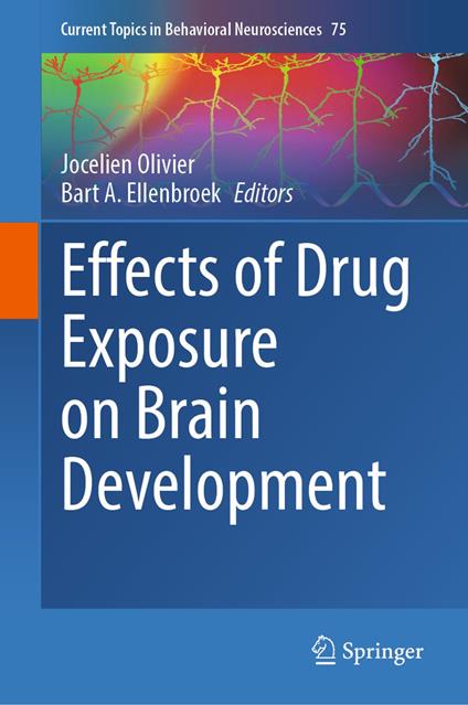 Effects of Drug Exposure on Brain Development