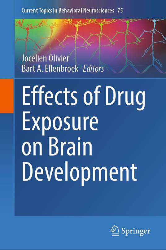 Effects of Drug Exposure on Brain Development