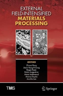 External Field-Intensified Materials Processing - cover