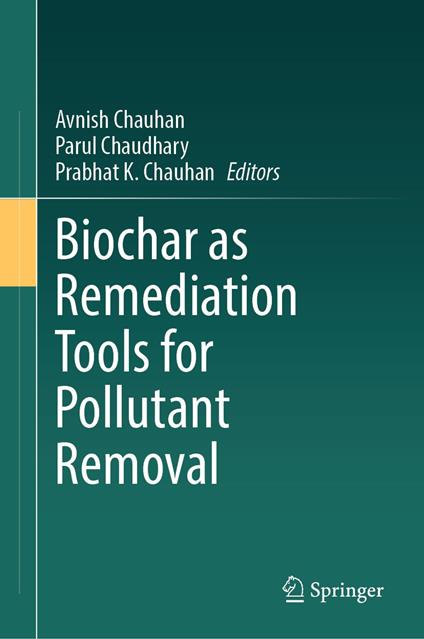 Biochar as Remediation Tools for Pollutant Removal