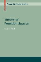 Theory of Function Spaces - Hans Triebel - cover