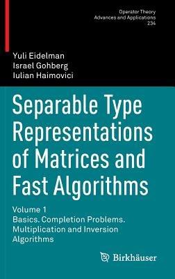 Separable Type Representations of Matrices and Fast Algorithms: Volume 1 Basics. Completion Problems. Multiplication and Inversion Algorithms - Yuli Eidelman,Israel Gohberg,Iulian Haimovici - cover