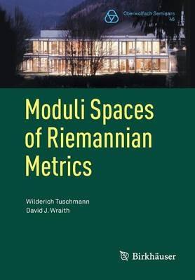 Moduli Spaces of Riemannian Metrics - Wilderich Tuschmann,David J. Wraith - cover
