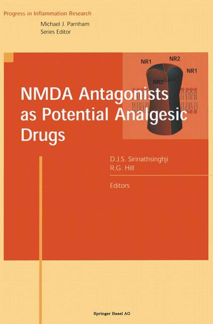NMDA Antagonists as Potential Analgesic Drugs
